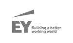 ey logo