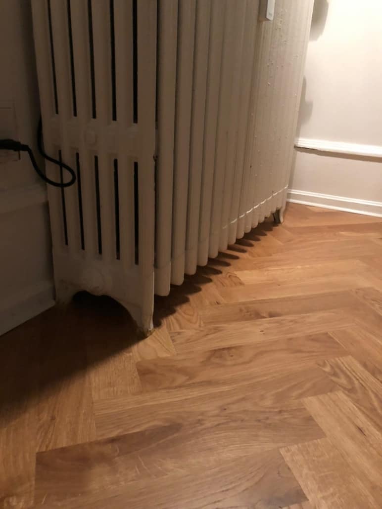 Sildebensparket og radiator efter